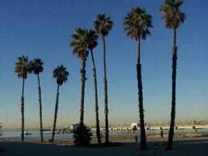 Sunday Morning Long Beach Memorial Pier photo by Jay Valento