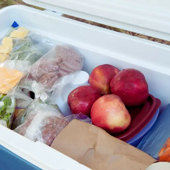 Bring a cooler for your duffy boats parties