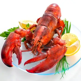 Long beach lobster festival 2013