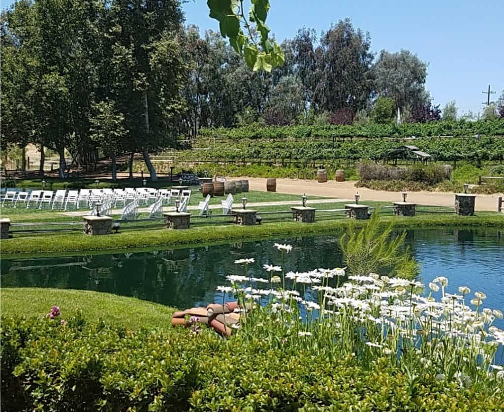 California wineries for sale and vineyards - this photo i took in temecula, california
