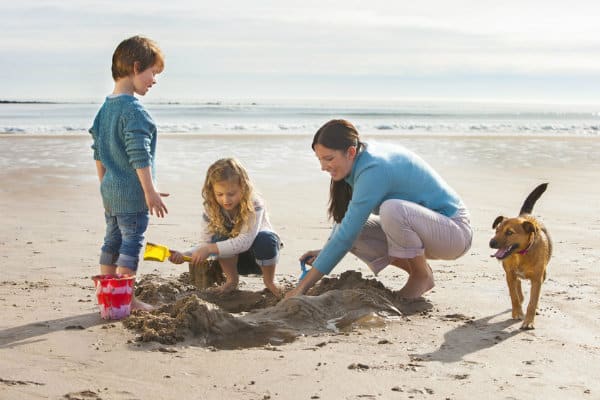 Summertime fun for the whole family in la jolla, california