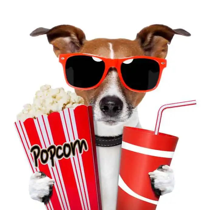Popcorn for long beach real estate october 2019