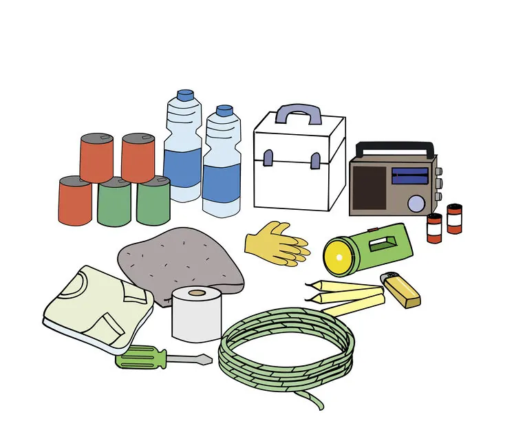 Emergency earthquake preparedness kits