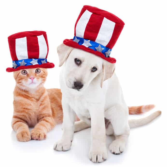 Long Beach CA July 4th 2021 Dogs and Cats Love Freedom