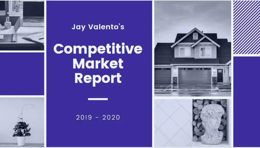 Competitive market analysis 2019-2020