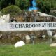 Chardonnay Hills Homes for SaleNeighborhood