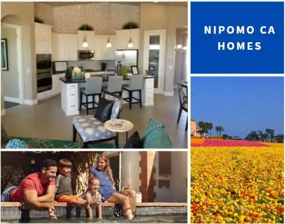 Nimpo homes