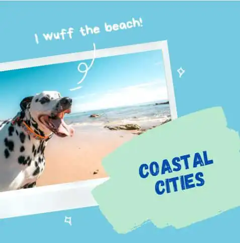 Coastal cities beach real estate