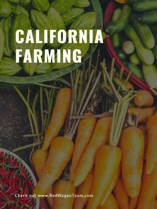 California farming southern california homes for sale.