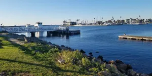Long Beach Real Estate Homes - Condos