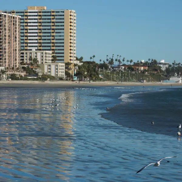 Long Beach Real Estate for Sale Long Beach Real Estate for Sale of Active Listings