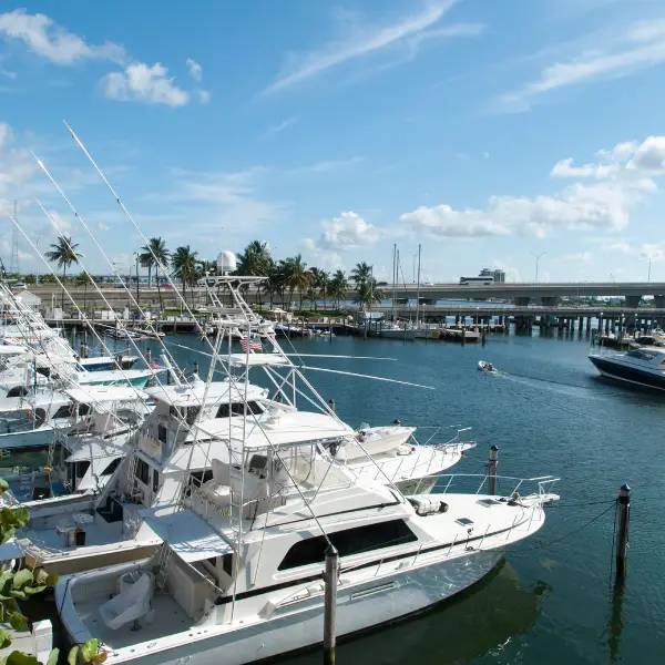 Newport beach homes with boat docks or slips