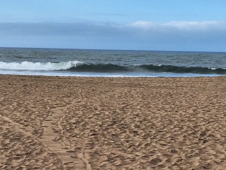 Fall in love with long beach real estate living: explore homes, condos & coastal lifestyles Frequently asked questions about what salary do i need to buy a home in long beach