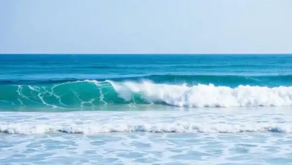 Long Beach Real Estate featuring Homes and Condos in the Southern California Sun